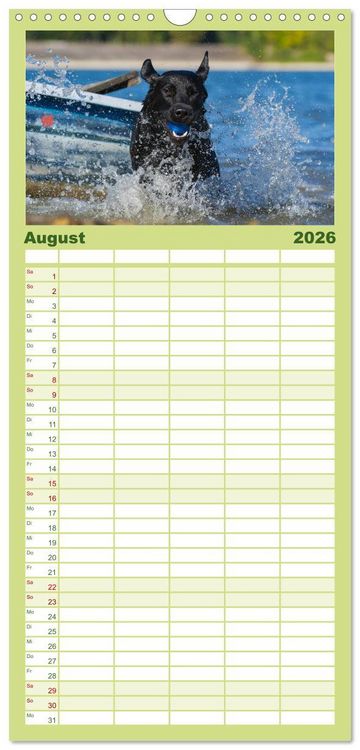 Produktbild: Familienplaner 2026 - Labrador Retriever 2026 mit 5 Spalten (Wandkalender, 21 x 45 cm) CALVENDO