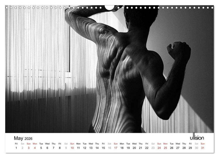 Produktbild: Male Nude Art (Wall Calendar 2026 DIN A3 landscape), CALVENDO 12 Month Wall Calendar