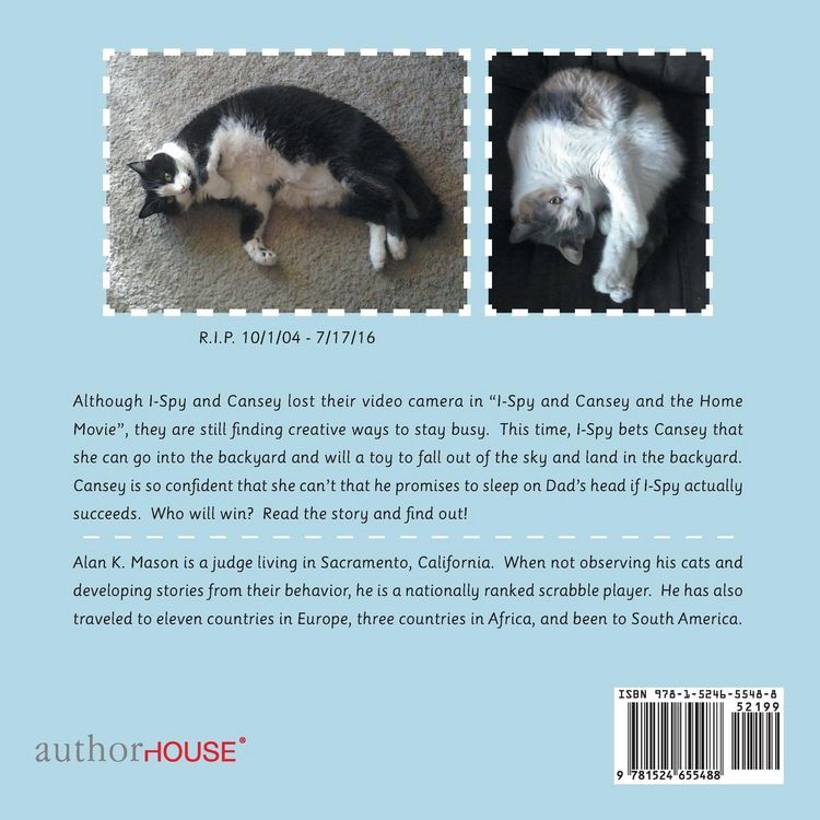 Produktbild: I-Spy and Cansey and the Toy from the Sky