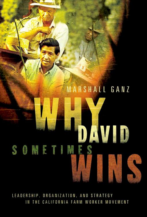 Produktbild: Why David Sometimes Wins