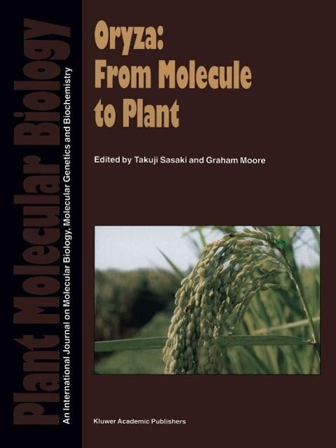 Produktbild: Oryza: From Molecule to Plant
