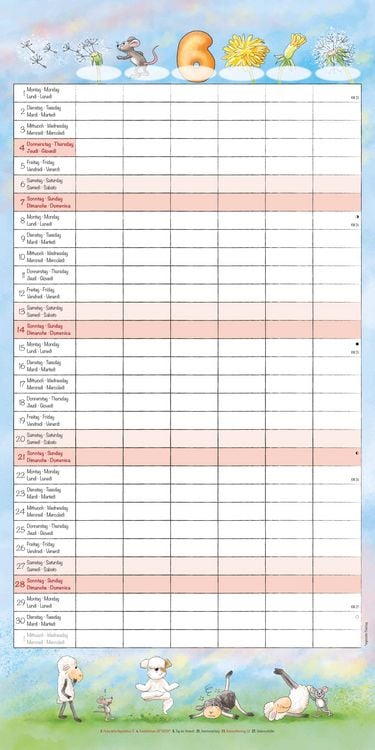 Produktbild: Familienplaner Cartoon 2026 - Broschürenkalender 30x30 cm (30x60 geöffnet) - Kalender mit Platz für Notizen - 6 Spalten - Bildkalender - Wandkalender