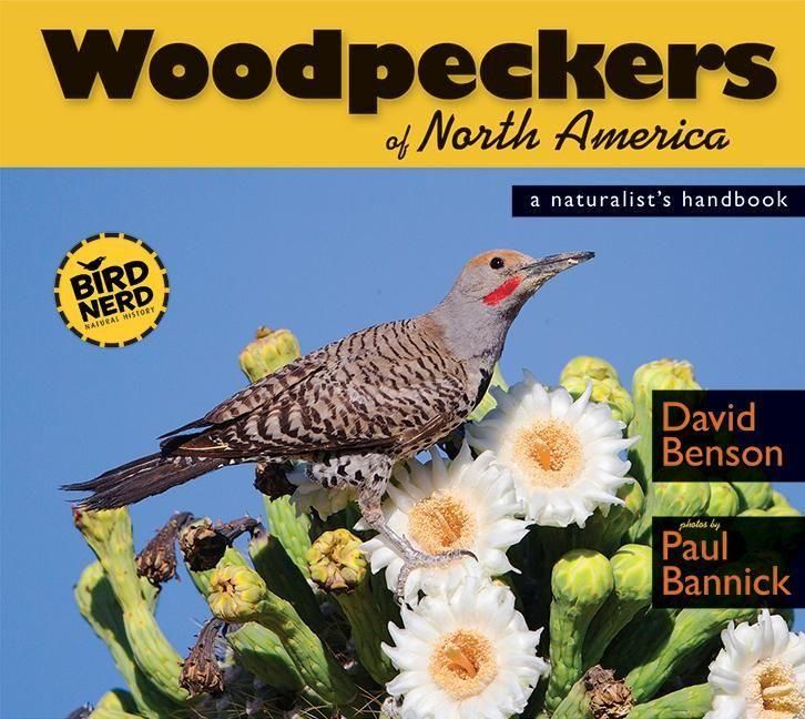 Produktbild: Woodpeckers of North America
