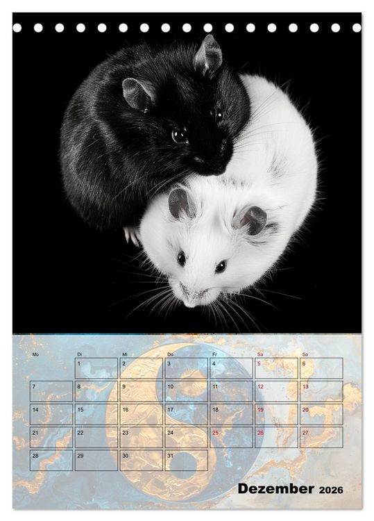 Produktbild: Sei das Yin zu meinem Yang (Tischkalender 2026 DIN A5 hoch), CALVENDO Monatskalender