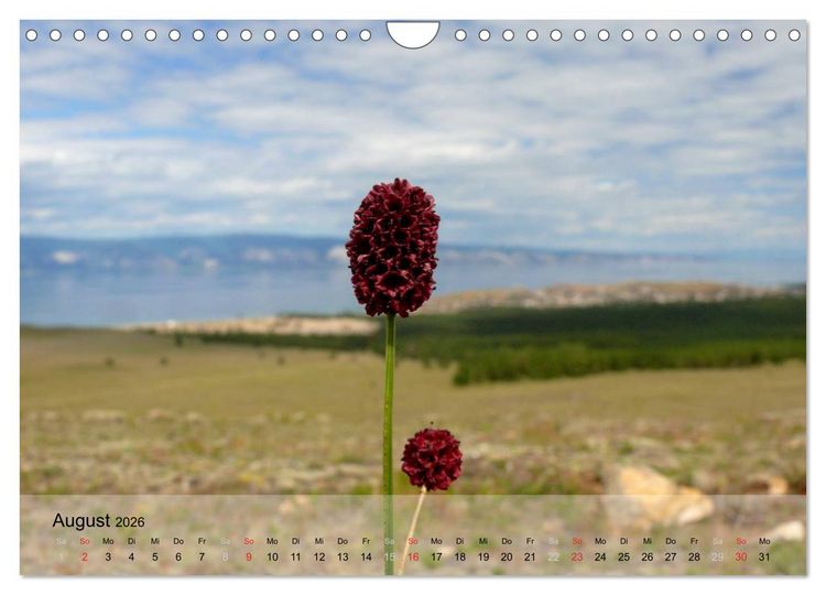 Produktbild: Olchon - Insel im Baikalsee (Wandkalender 2026 DIN A4 quer), CALVENDO Monatskalender