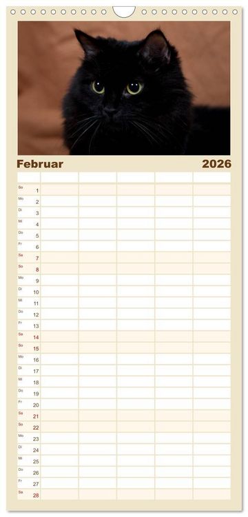 Produktbild: Familienplaner 2026 - Ragdolls mit 5 Spalten (Wandkalender, 21 x 45 cm) CALVENDO