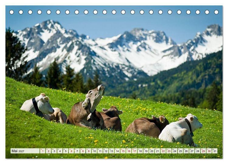 Produktbild: Traumhaftes Allg&auml;u (Tischkalender 2027 DIN A5 quer), CALVENDO Monatskalender