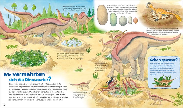 Produktbild: Dinosaurier / Was ist was junior Bd. 3
