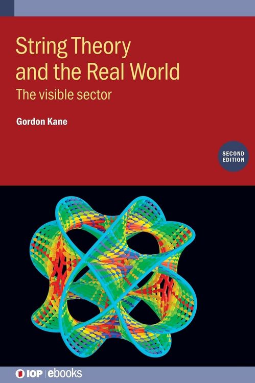 Produktbild: String Theory and the Real World (Second Edition)