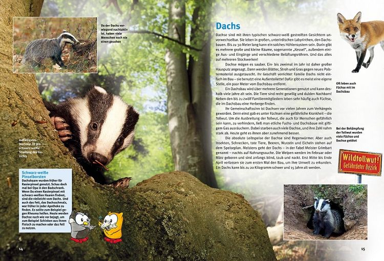 Produktbild: Entdecke heimische Wildtiere