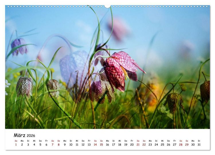 Produktbild: Pinneberger Art (hochwertiger Premium Wandkalender 2026 DIN A2 quer), Kunstdruck in Hochglanz