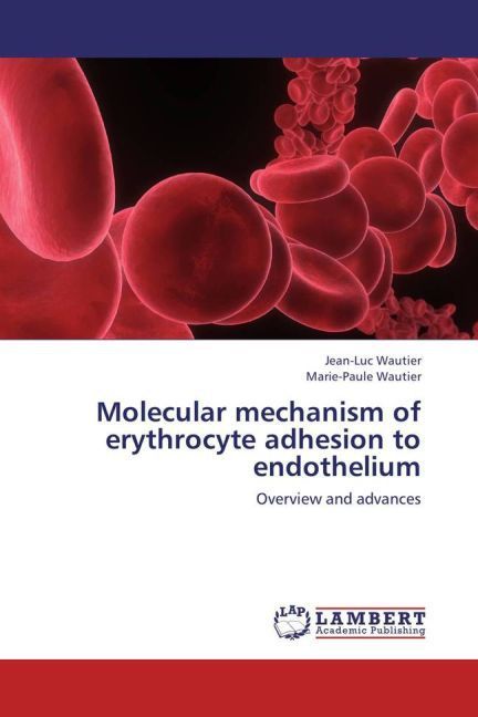 Produktbild: Wautier, J: Molecular mechanism of erythrocyte adhesion to e