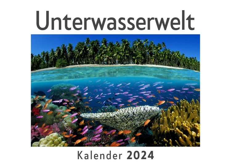 Produktbild: Unterwasserwelt (Wandkalender 2024, Kalender DIN A4 quer, Monatskalender im Querformat mit Kalendarium, Das perfekte Geschenk)
