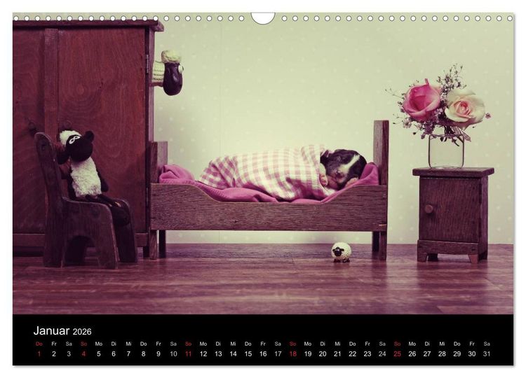 Produktbild: Der Bordercollie-Kalender (Wandkalender 2026 DIN A3 quer), CALVENDO Monatskalender