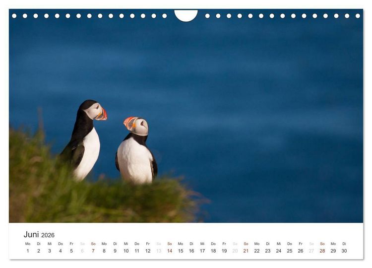 Produktbild: ISLAND 63&deg; - 66&deg; N / 13&deg; - 25&deg; W (Wandkalender 2026 DIN A4 quer), CALVENDO Monatskalender