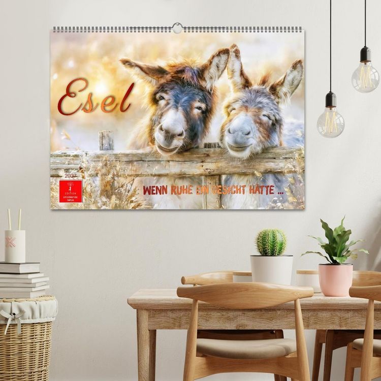 Produktbild: Esel - Wenn Ruhe ein Gesicht h&auml;tte (Wandkalender 2027 DIN A2 quer), CALVENDO Monatskalender