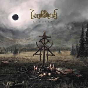 Produktbild: Immortal