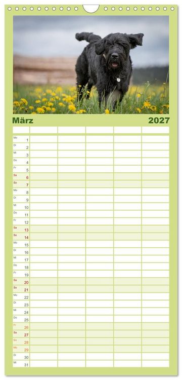 Produktbild: Familienplaner 2027 - Schnauzer... von Zwergen und Riesen 2027 mit 5 Spalten (Wandkalender, 21 x 45 cm) CALVENDO