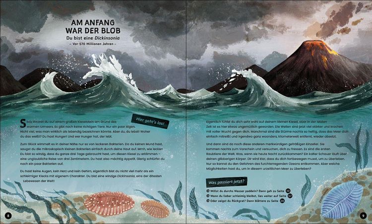 Produktbild: Evolution - Aussterben oder &uuml;berleben? Du entscheidest!