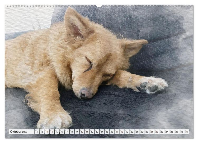 Produktbild: Niedliche Hunde - Digitale Aquarelle (Wandkalender 2026 DIN A2 quer), CALVENDO Monatskalender