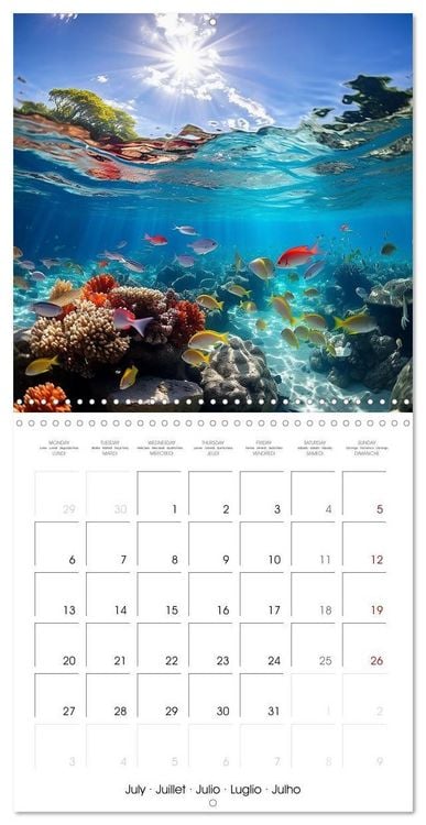 Produktbild: Beside tropical beaches (Wall Calendar 2026 12 &times; 12 Inch) CALVENDO 12 Month Wall Calendar