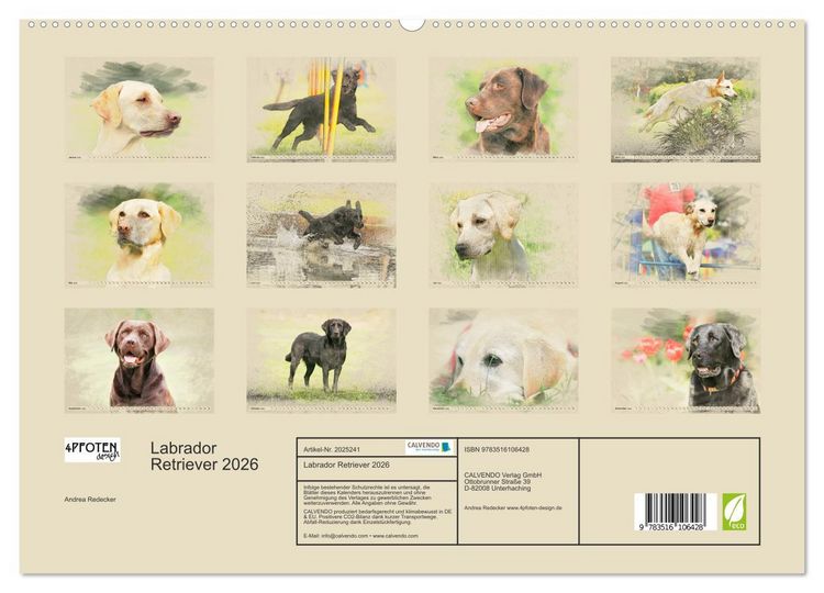 Produktbild: Labrador Retriever 2026 (hochwertiger Premium Wandkalender 2026 DIN A2 quer), Kunstdruck in Hochglanz