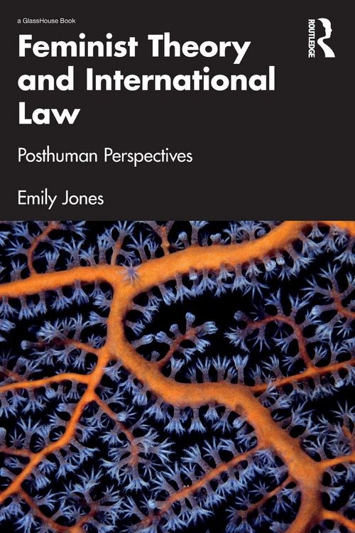 Produktbild: Feminist Theory and International Law