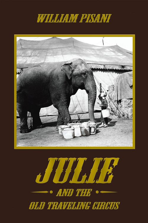 Produktbild: Julie and the Old Traveling Circus