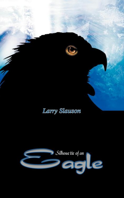 Produktbild: Silhouette of an Eagle