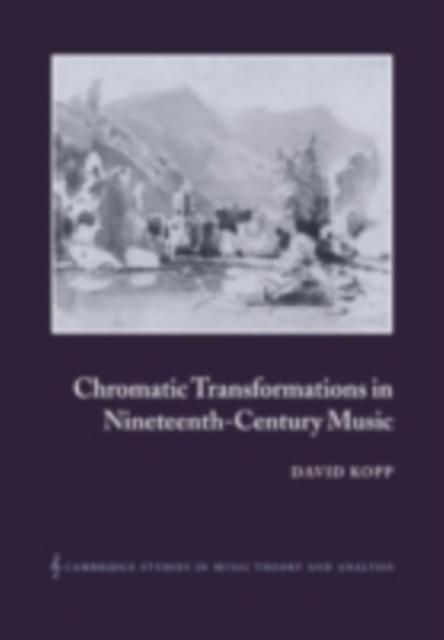 Produktbild: Chromatic Transformations in Nineteenth-Century Music