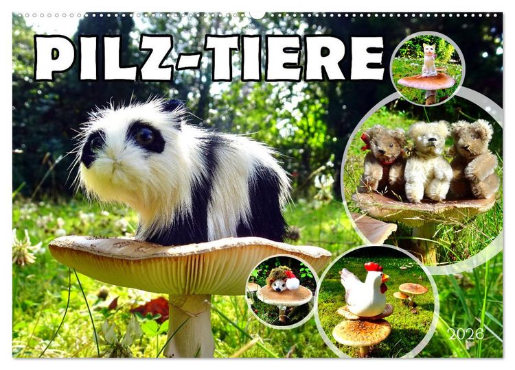 Produktbild: Pilz-Tiere (Wandkalender 2026 DIN A2 quer), CALVENDO Monatskalender
