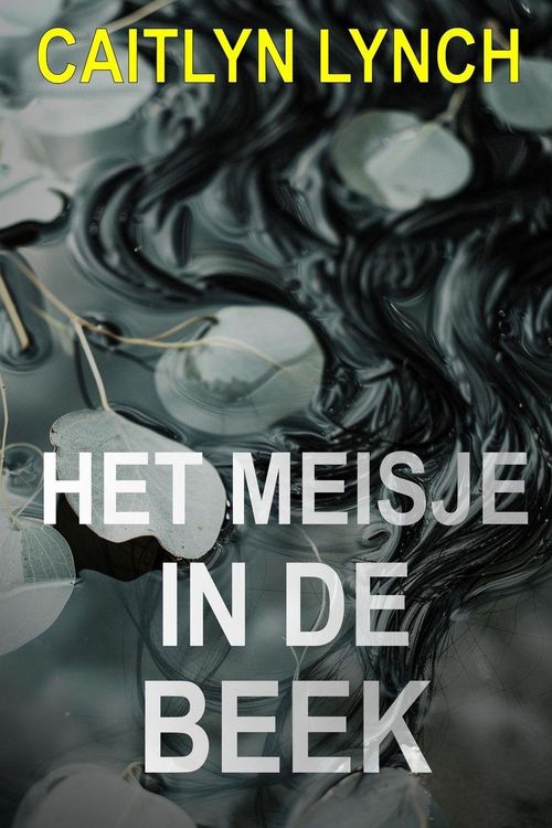 Produktbild: Het Meisje in de beek