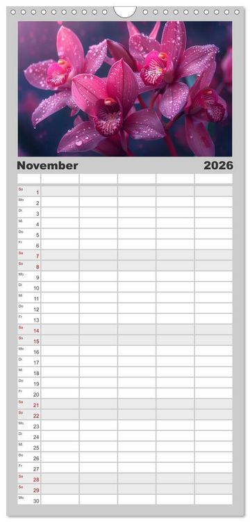 Produktbild: Familienplaner 2026 - Orchideen - farbenfroh durchs Jahr mit 5 Spalten (Wandkalender, 21 x 45 cm) CALVENDO