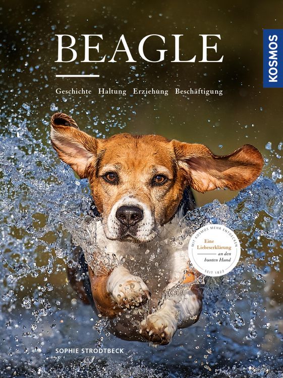 Produktbild: Beagle