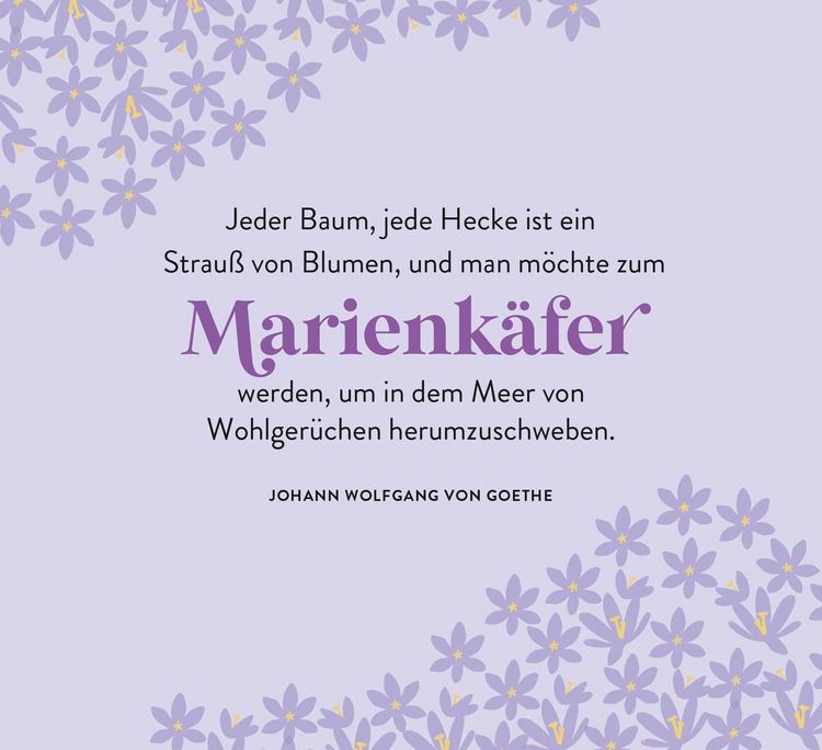 Produktbild: Ein Meer aus Bl&uuml;ten