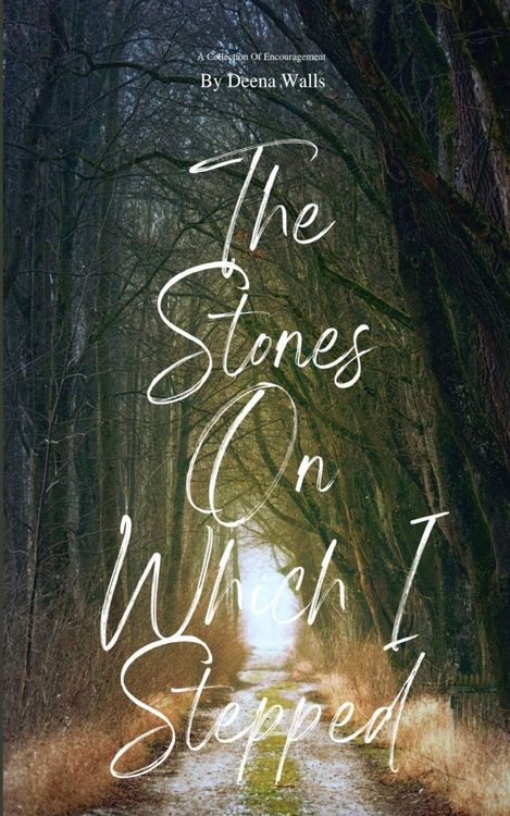 Produktbild: The Stones On Which I Stepped
