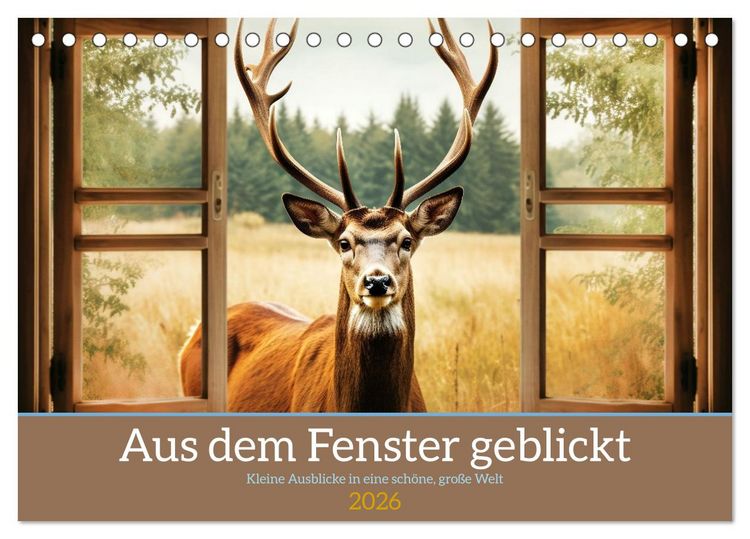 Produktbild: Aus dem Fenster geblickt (Tischkalender 2026 DIN A5 quer), CALVENDO Monatskalender