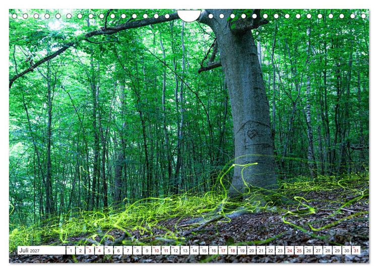 Produktbild: Natur und Tierparadies (Wandkalender 2027 DIN A4 quer), CALVENDO Monatskalender