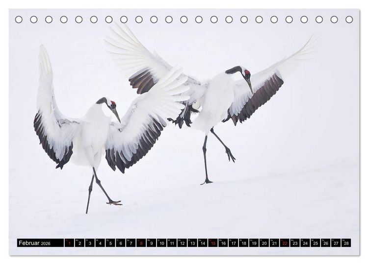 Produktbild: Japanische Vogelwelt im Winter (Tischkalender 2026 DIN A5 quer), CALVENDO Monatskalender