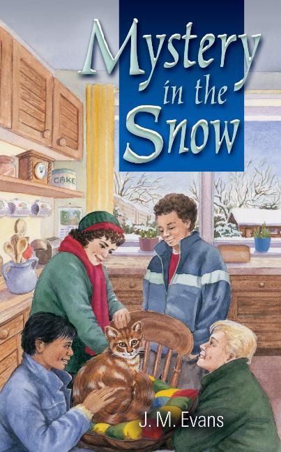 Produktbild: Evans, J: Mystery in the Snow