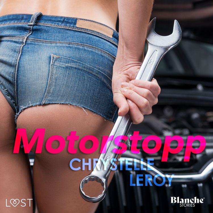 Produktbild: Motorstopp - erotisk novell