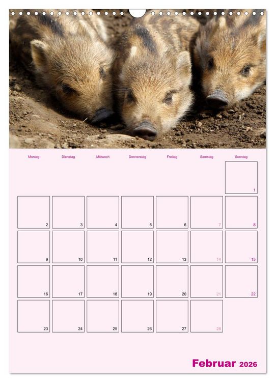 Produktbild: Schweinischer Terminplaner (Wandkalender 2026 DIN A3 hoch), CALVENDO Monatskalender