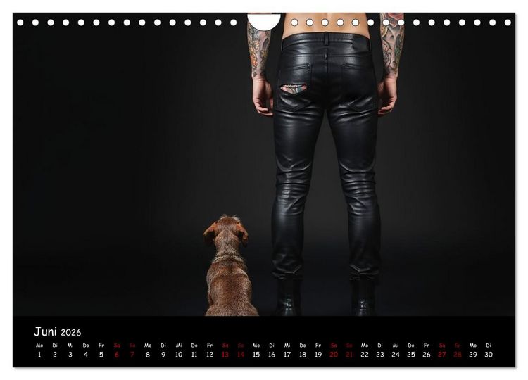 Produktbild: Coole Typen - Rauhaardackel (Wandkalender 2026 DIN A4 quer), CALVENDO Monatskalender