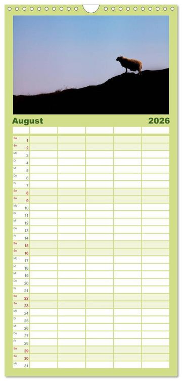 Produktbild: Familienplaner 2026 - Unter Schafen - Wegbegleiter auf Reisen mit 5 Spalten (Wandkalender, 21 x 45 cm) CALVENDO