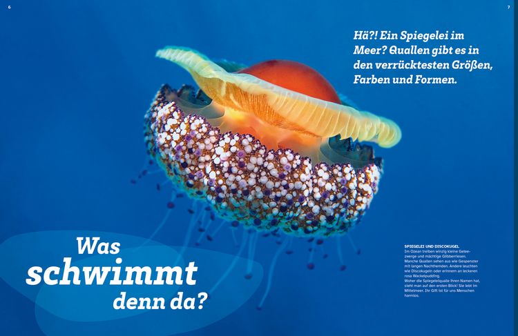 Produktbild: WAS IST WAS Quallen. Alles nur Glibber?!