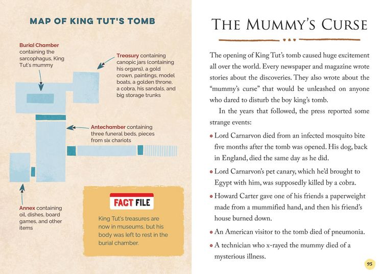 Produktbild: Actual Factual Files: Ancient Egypt