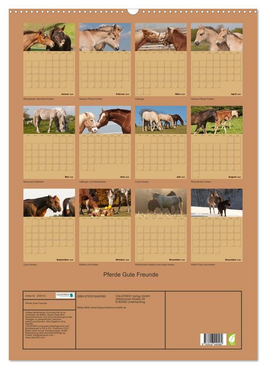Produktbild: Pferde Gute Freunde (Wandkalender 2026 DIN A2 hoch), CALVENDO Monatskalender