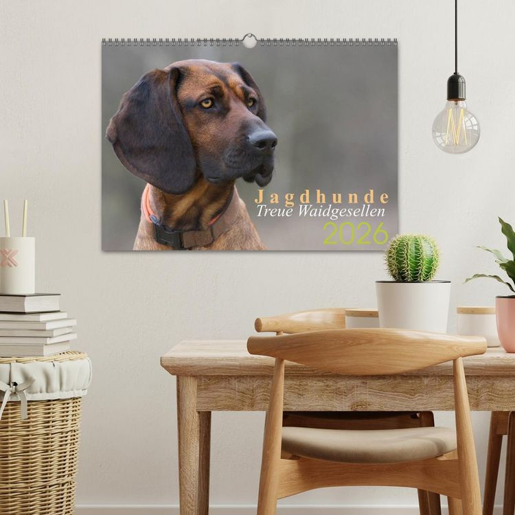 Produktbild: Jagdhunde - Treue Waidgesellen (Wandkalender 2026 DIN A3 quer), CALVENDO Monatskalender