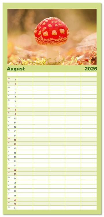 Produktbild: Familienplaner 2026 - Wundersame Pilzwelten mit 5 Spalten (Wandkalender, 21 x 45 cm) CALVENDO