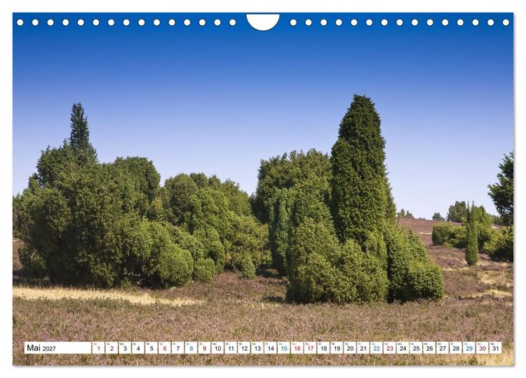 Produktbild: L&uuml;neburger Heide &ndash; Im Wandel der Jahreszeiten (Wandkalender 2027 DIN A4 quer), CALVENDO Monatskalender